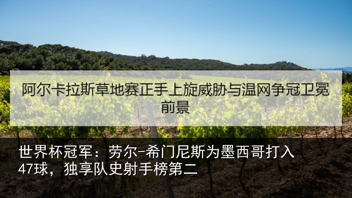 世界杯冠军：劳尔-希门尼斯为墨西哥打入47球，独享队史射手榜第二