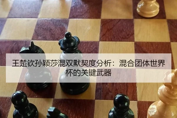 wang-chu-qin-sun-ying-sha-hun-shuang-mo-qi-du-fen-xi-hun-he-tuan-ti-shi-jie-bei-de-guan-jian-wu-qi-3-528.jpg